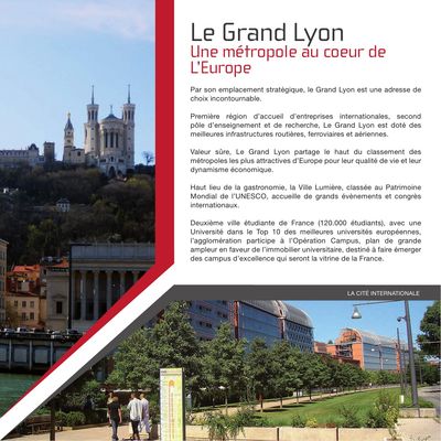 investir a lyon villeurbanne Le cube