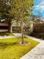 Acheter un logement avec un extérieur à Saint-Maur-des-Fossés