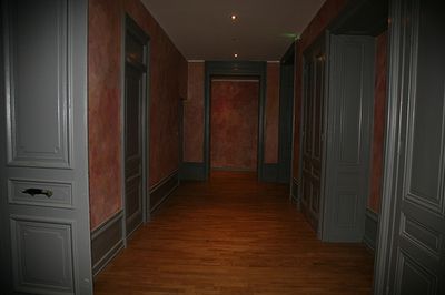 appartement renove a vendre a  lyon