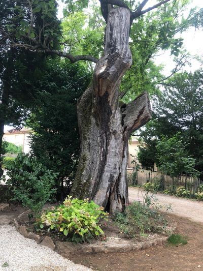 réhabilitation haut de gamme près de Lyon centre