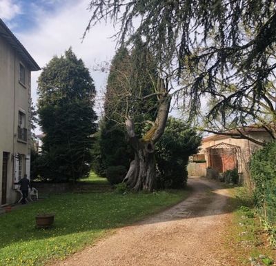 Oscar Développement réalise la rénovation d'appartements à Lyon