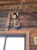 Megeve : Chalet réhabilité en plusieurs lots